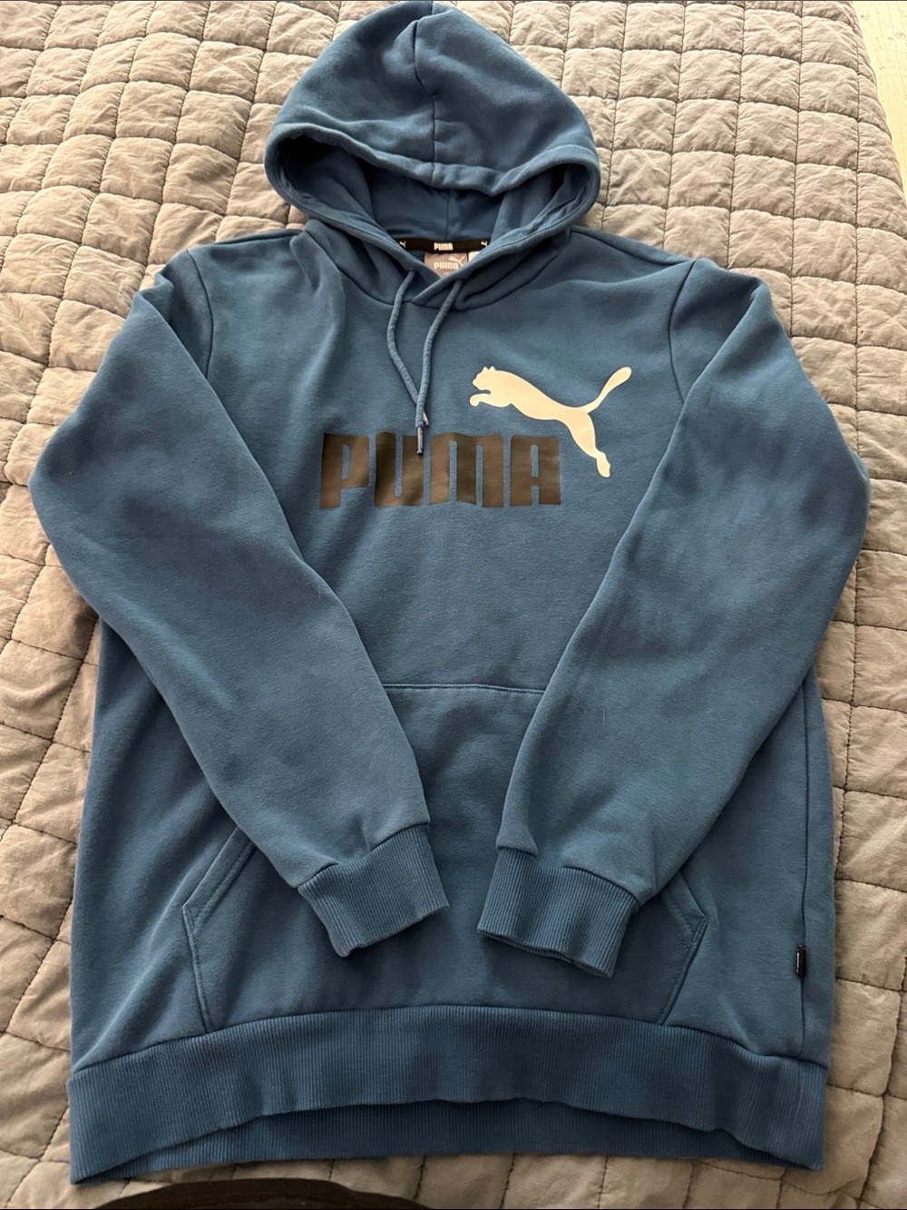 Puma Men's Teal Pullover Hoodie with Logo